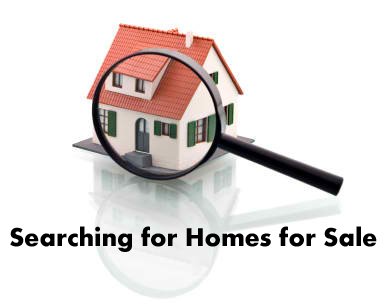 Searching for Homes for Sale