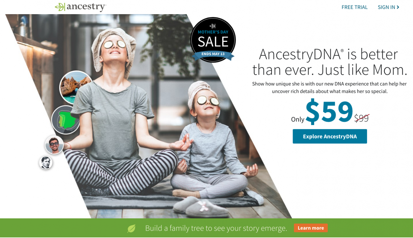 Ancestry.com was the first of the online people searches to offer family tree building.