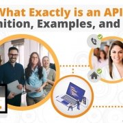 What Exactly is an API Definition, Examples, and Uses via Searchbug