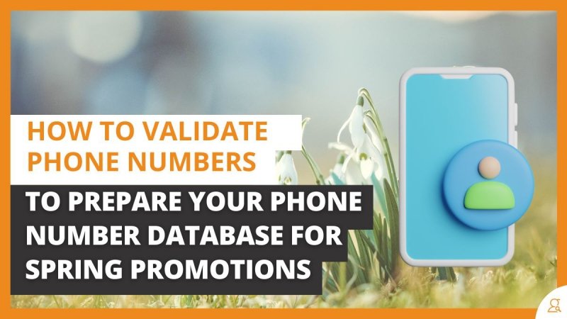 How to Validate Phone Numbers to Prepare Your Phone Number Database for Spring Promotions